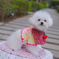新竹/竹北 小型犬萌萌團