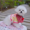 新竹/竹北 小型犬萌萌團