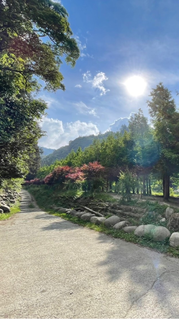 🌺馨樂居芳療生活🌏美好日子愛地球