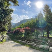 🌺馨樂居芳療生活🌏美好日子愛地球