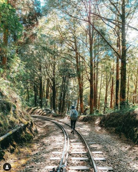 （圖片來源／IG @frankucc）