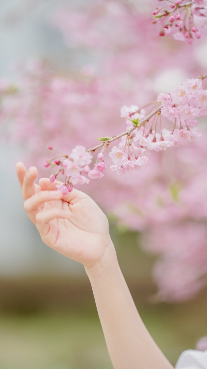 いくらを食べようの会のオープンチャット