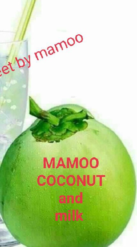 Mamoo มะพร้าวนมสด