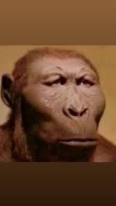 ㄧ件衣服 兩段人生