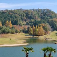⛳️埼玉ゴルフ『ドリーム会』紳士淑女🎩初心者🔰～中級者歓迎❣️