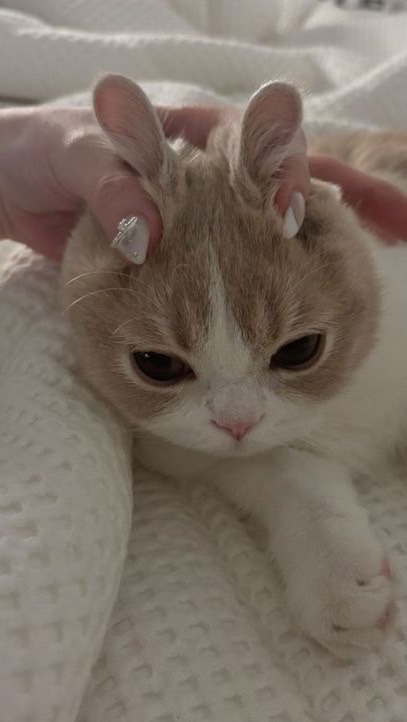 สอนปั้นตต