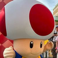 誰でも参加⭕️雑談オプ！！
