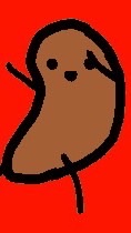 ぬん
