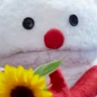 きんりあ