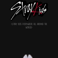 skz 也