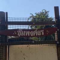 ซุ้มพงศธร wing4🐍