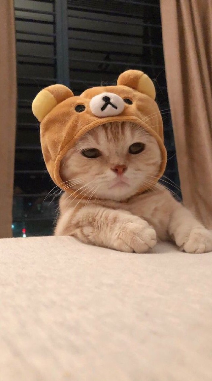 ตท.ดันแอคนะเนม!
