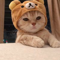 ตท.ดันแอคนะเนม!