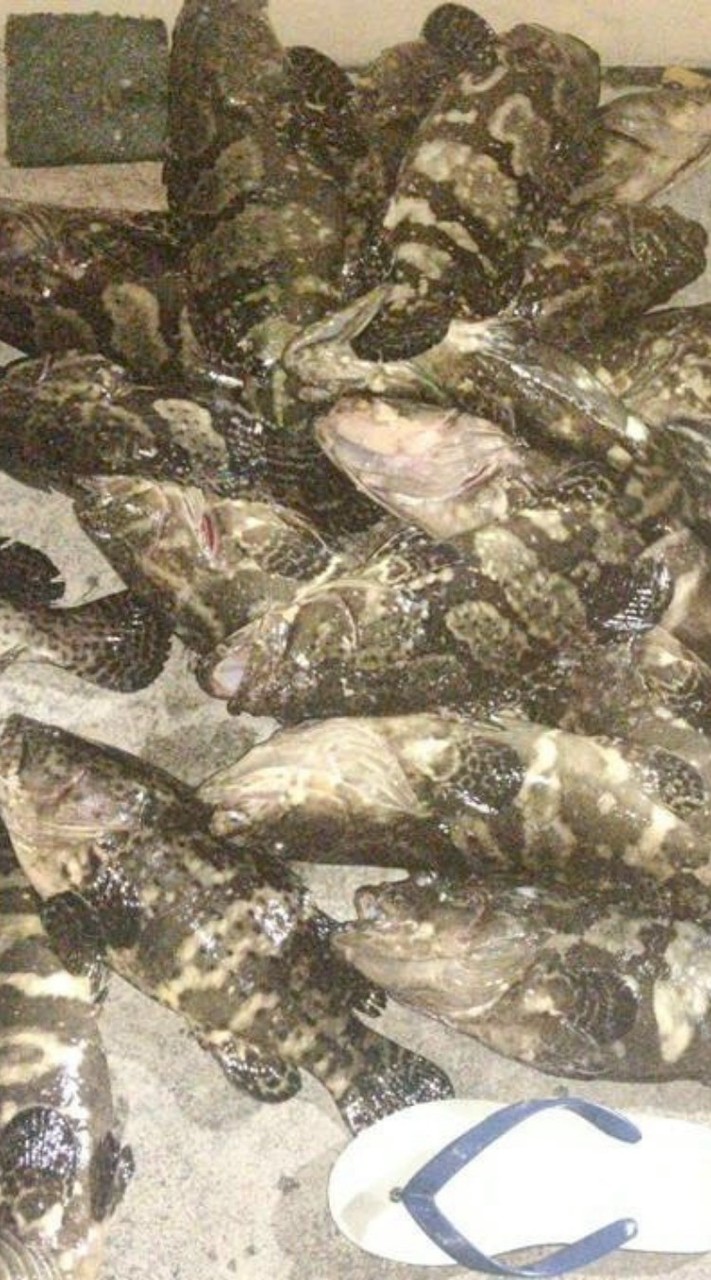 ☛南部海鮮水產 ✎預定可宅配