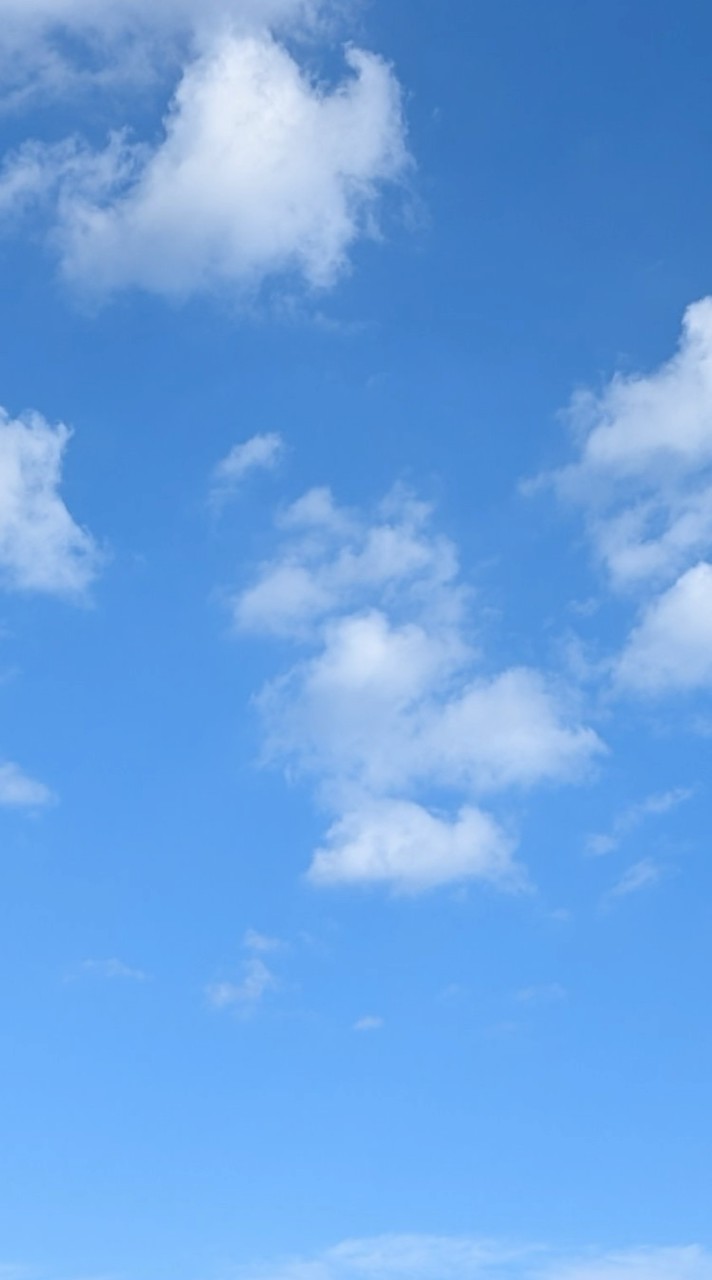 誰でもオッケー雑談部屋