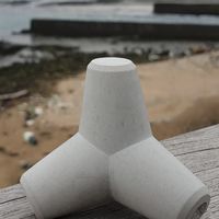 台中Ro人公會