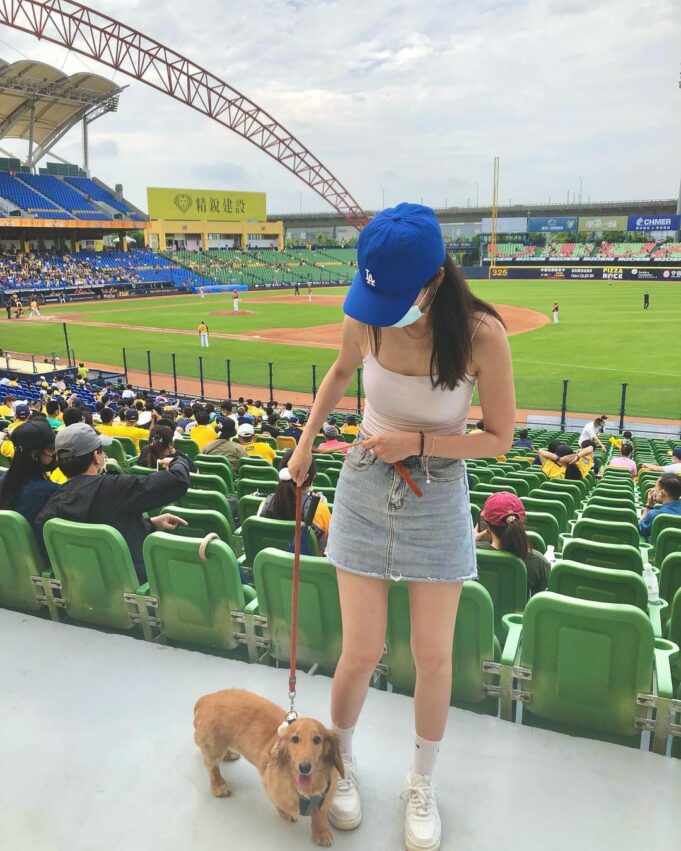 台中捷運 106 文心崇德站 臺中市洲際棒球場 洲際棒球文創園區