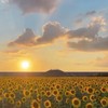 雑談・歌いろいろしよぉ