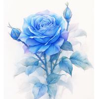 🍭東海アクティ部同好会🍭40代～メン募【名所巡り 季節のイベント 趣味・娯楽etc】