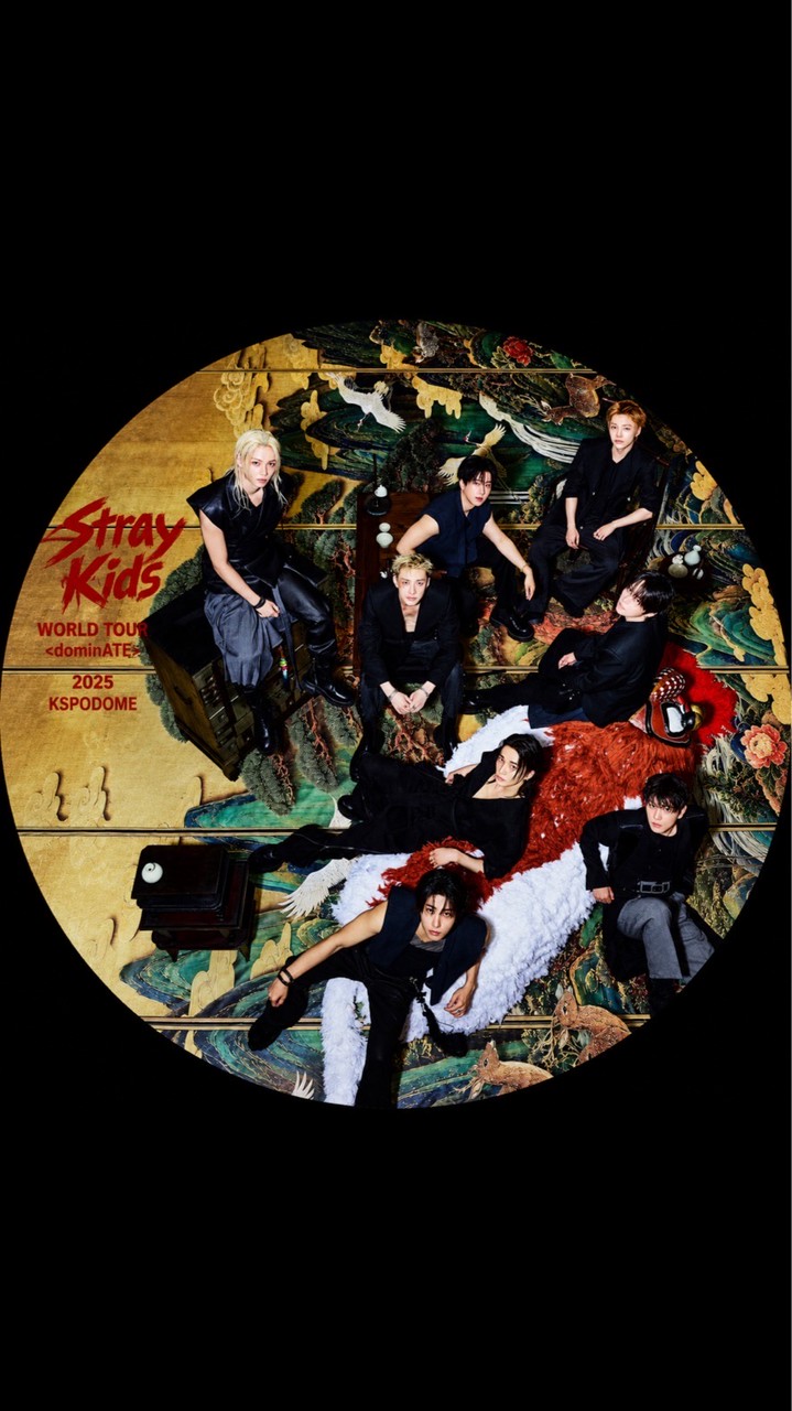 StrayKids✭35歳からの大人STAY