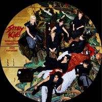 StrayKids✭35歳からの大人STAY