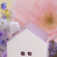 オプチャ管理人達の家🏠⭐