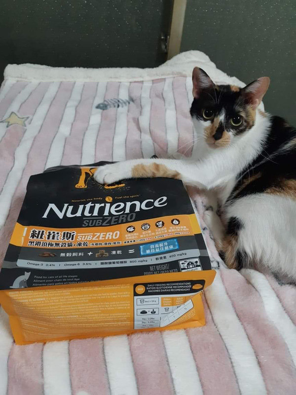 貓飼料推薦-貓奴必備紐崔斯Nutrience 頂級無穀飼料 凍乾系列 成貓無穀 火雞肉+雞肉+鮭魚 2.27kg 開箱分享