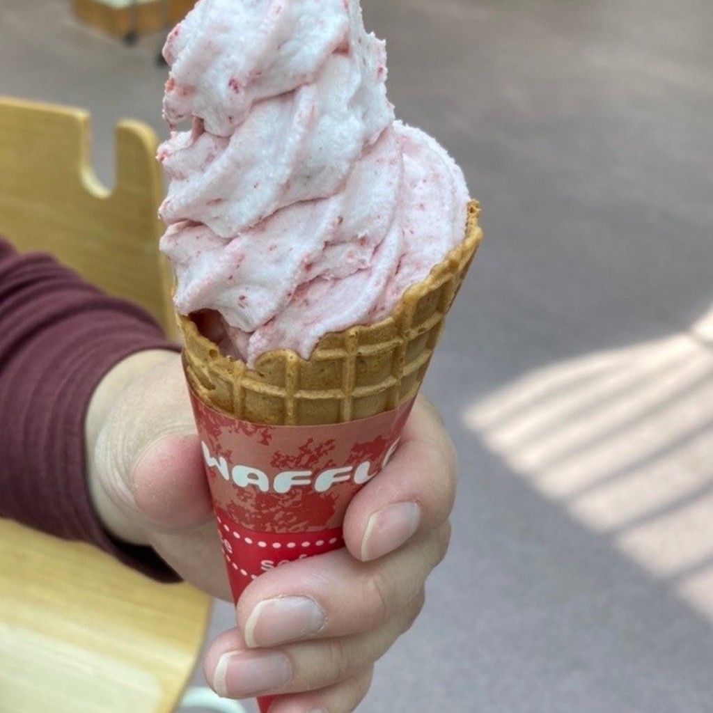 フルフルいろいろさんが投稿した七城町岡田アイスクリームのお店とりで農園  メロンドーム店の写真