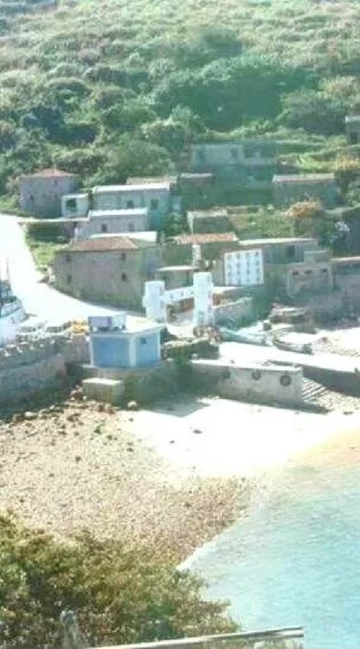 白沙村同學會
