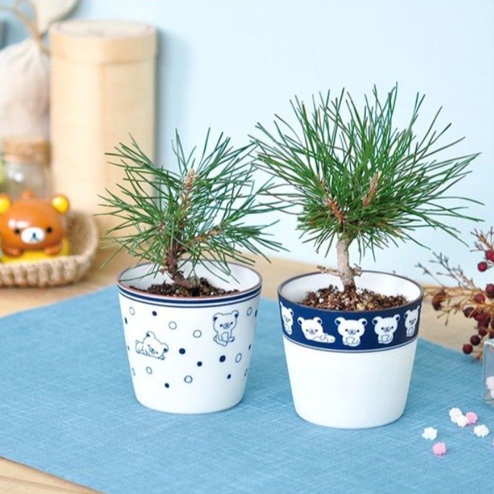 【SAN-X正版授權訂製植栽組合! 全台唯一販售】拉拉熊家族們總是喜歡聚再一起做任何事情，現在他們為了保護地球，決定學習如何種植了❤雖然還不太熟悉，但是種植懶人包讓他們培養出超漂亮的植物呢~你也想和懶