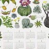 多肉植物について教えてください。