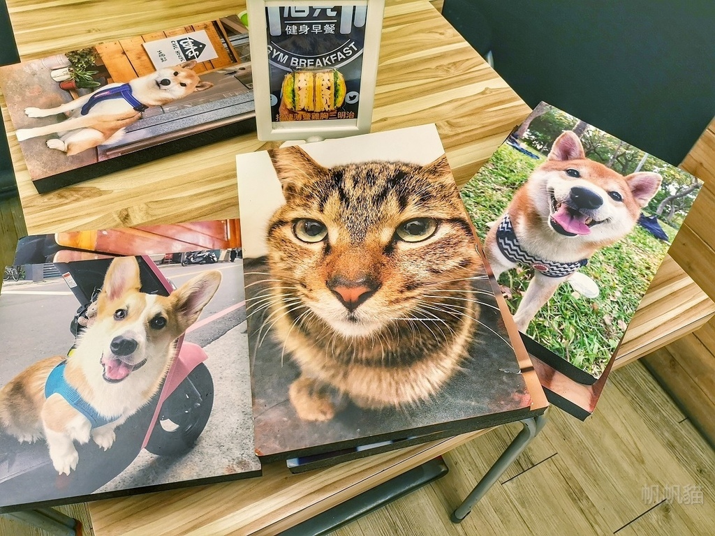 PhotoCap_003