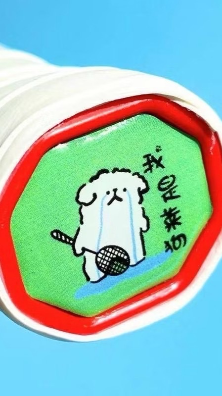 非單打計畫🏸