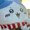 "纪栎の素材群⸝⸝⸝
