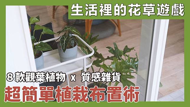 超簡單植栽佈置術 介紹8 款室內觀葉植物 搭配質感雜貨佈置成波西米亞風 設計家 Line Today