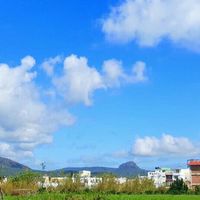 台灣導遊、包車旅遊、機場接送、台湾导游、包车旅游、机场接送