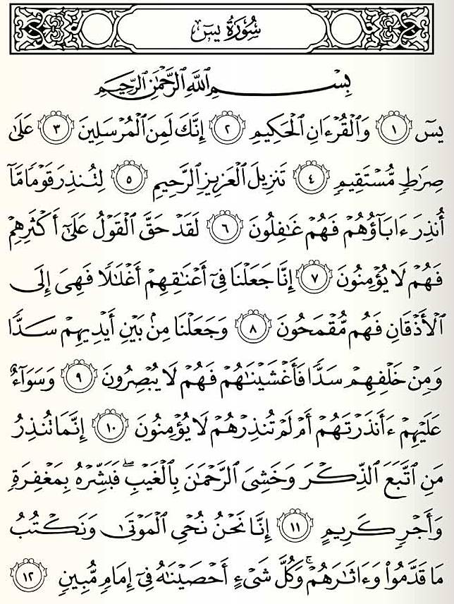 Surah yasin penuh