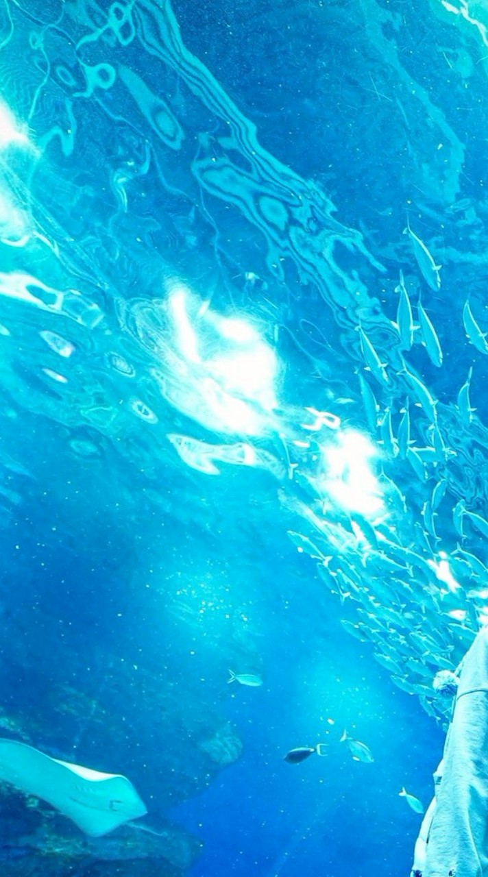 いれりす様の関係者募集中っ！！