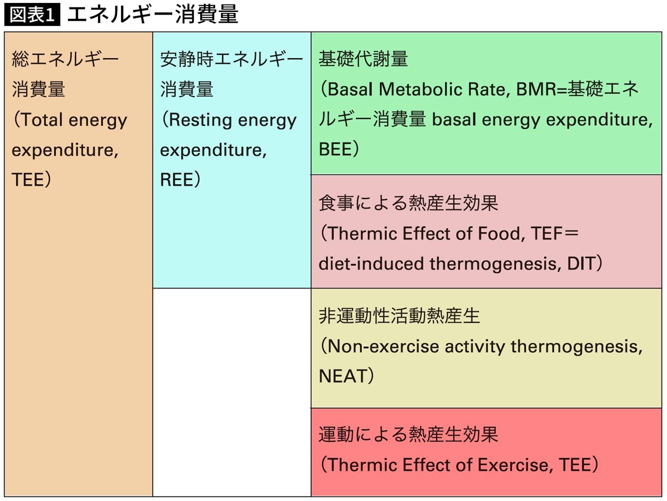 実はダイエットをするほど太ってしまう 人体に備わる不都合なメカニズム