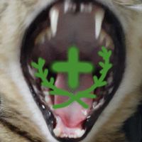 北護貓樂園