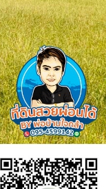 พ่อบ้านใจกล้า ที่ดินสวยผ่อนได้