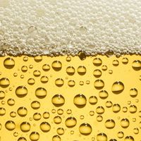 【20代・30代】お酒好きの会 in 日暮里、西日暮里