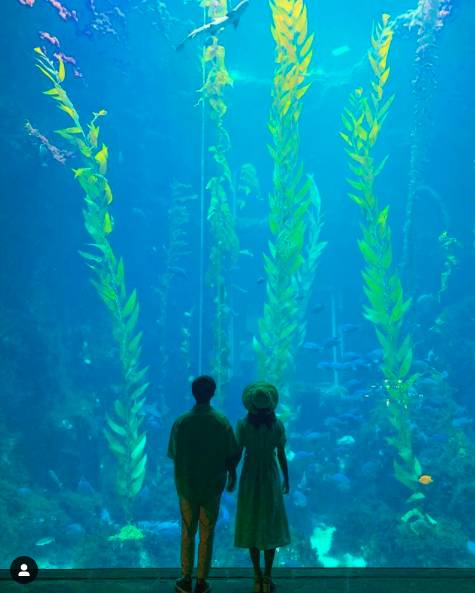 圖片來源：IG @butt2fly_