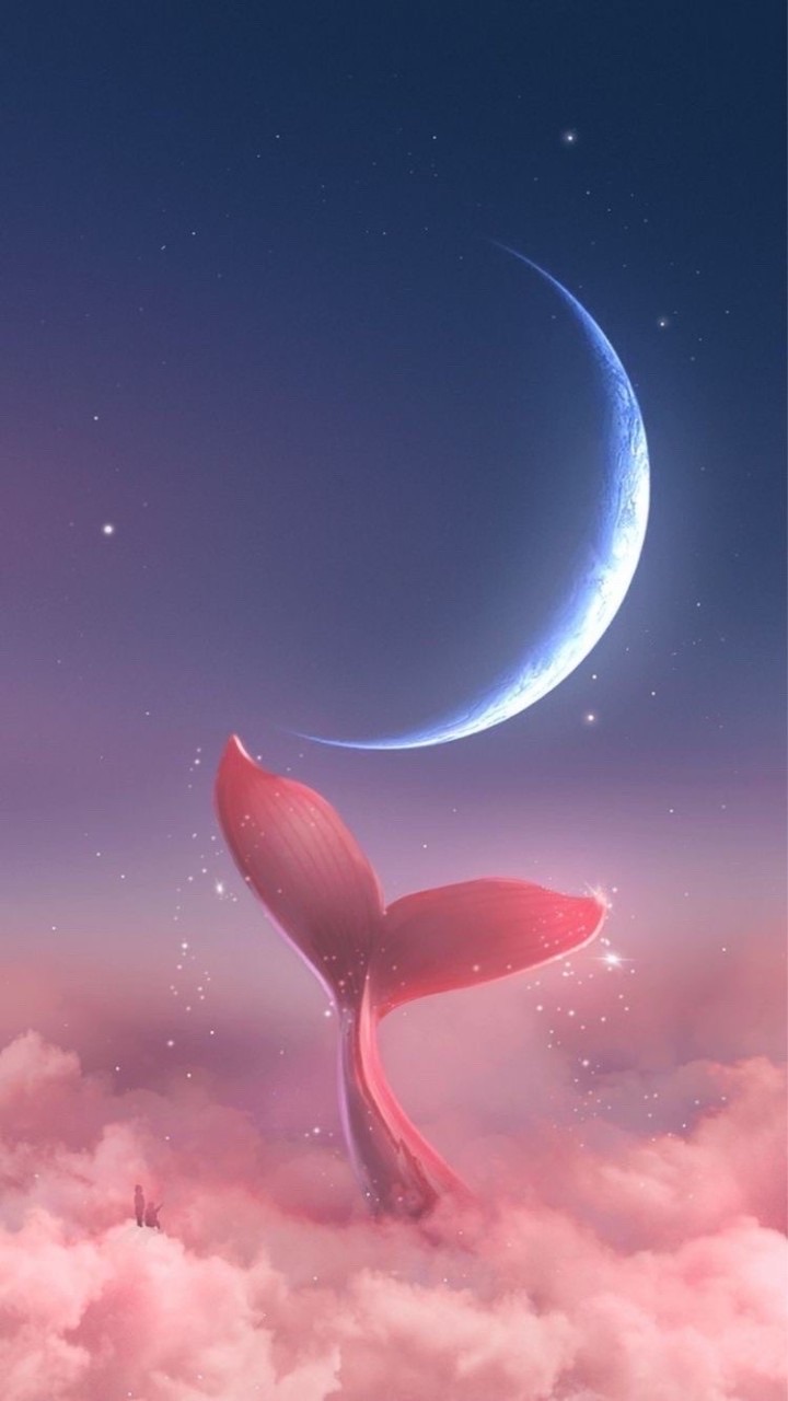 🌙⟬⟭德魯納許願池百貨⟭⟬