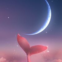 🌙⟬⟭德魯納許願池百貨⟭⟬