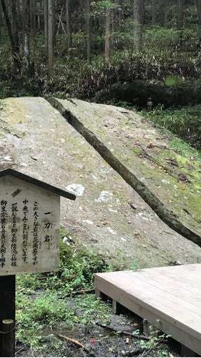 新陰流兵法　勢心会