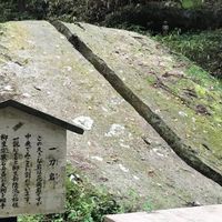 新陰流兵法　勢心会