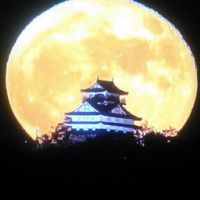 埼玉県【南中部🎵南東部】
