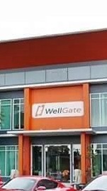 Wellgate Marketing Service