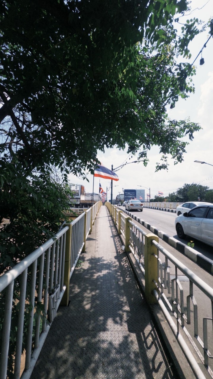 Jinbo papa金波
